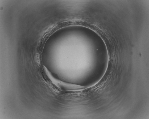 X0000073751398200608031417