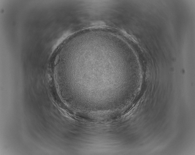 X0000073751400200608031417
