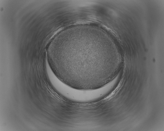 X0000073751401200608031417