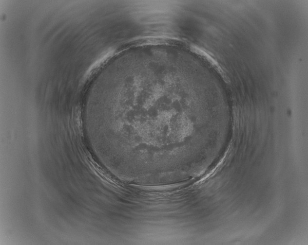 X0000073751403200608031417