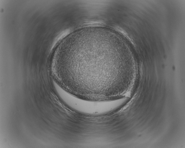 X0000073751405200608031417