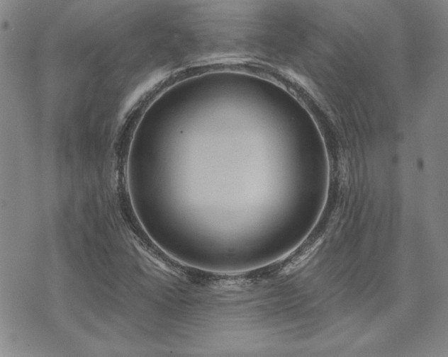 X0000073751406200608031417