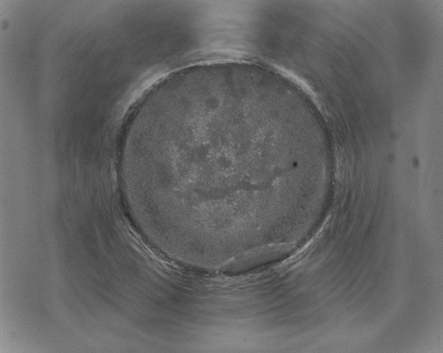 X0000073751407200608031417