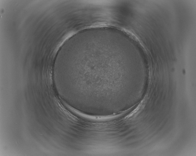 X0000073751409200608031417