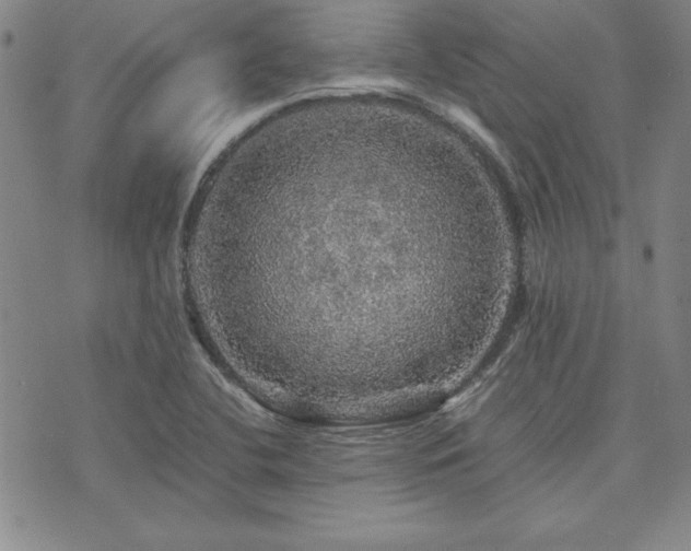 X0000073751412200608031418