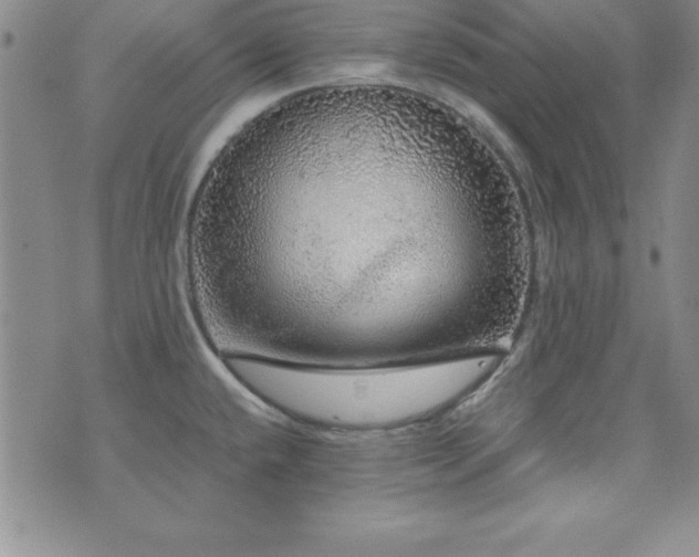 X0000073751432200608031418