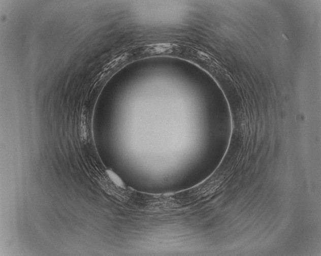 X0000073751442200608031417