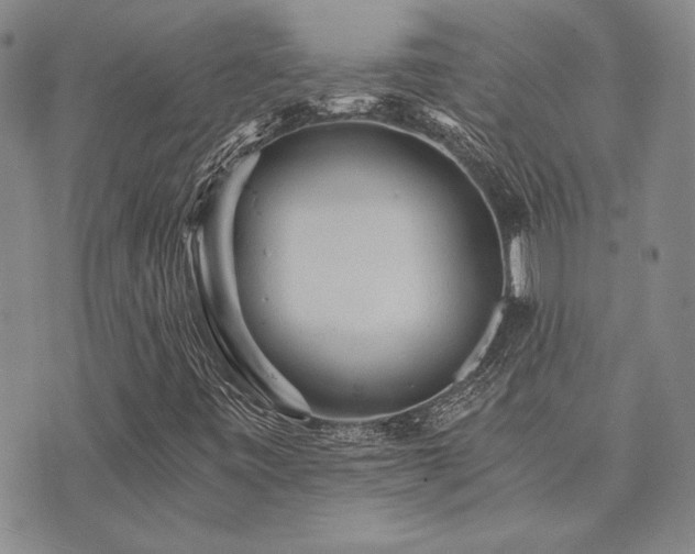 X0000073751443200608031417