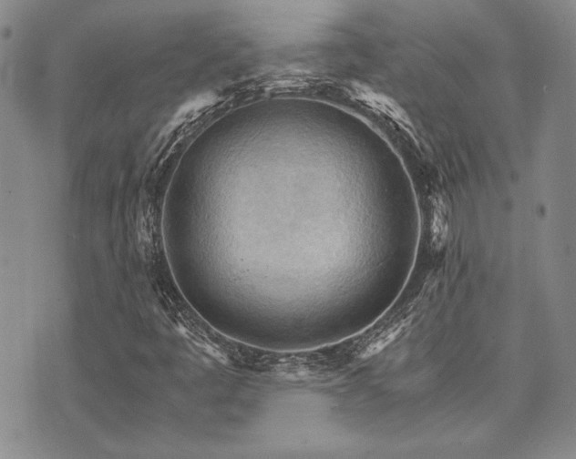 X0000073751445200608031417