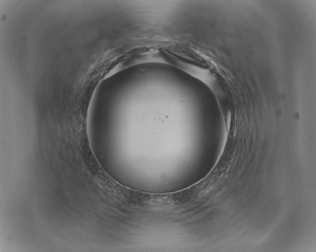 X0000073751447200608031417