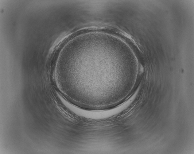 X0000073751448200608031417