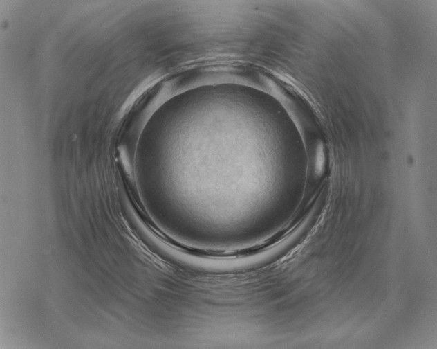 X0000073751450200608031417