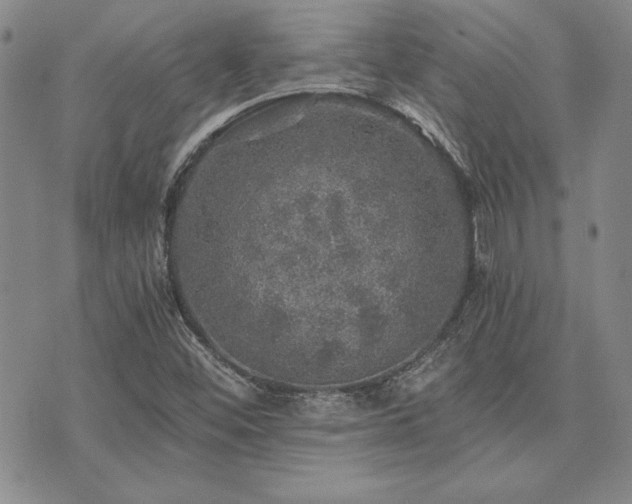 X0000073751452200608031417