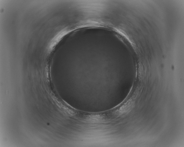 X0000073751455200608031417