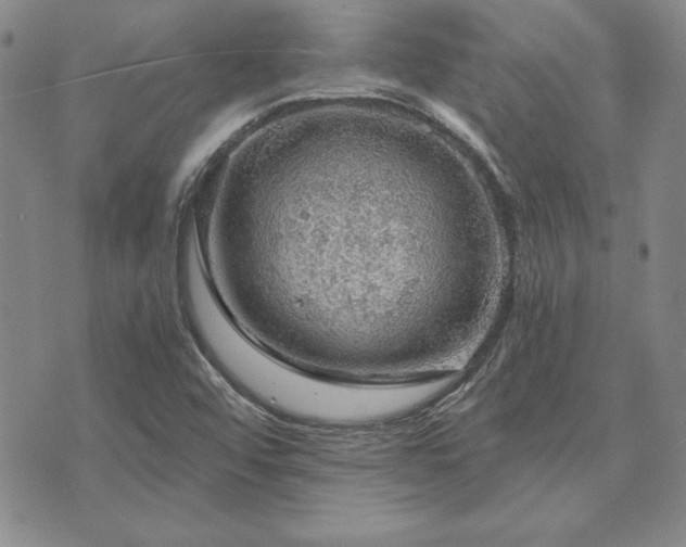 X0000073751456200608031417