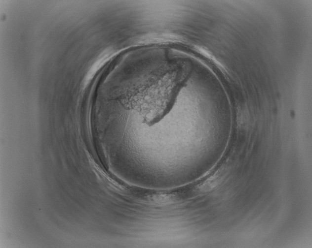 X0000073751459200608031417