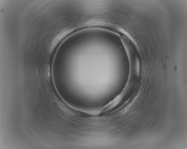 X0000073751461200608031417