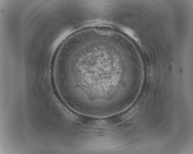 X0000073751463200608031417