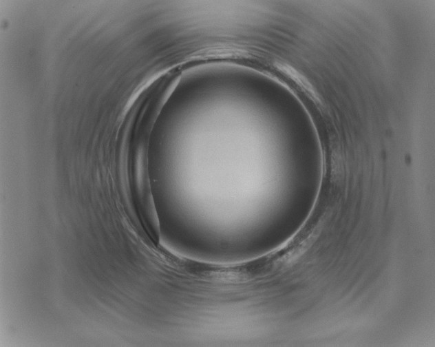 X0000073751465200608031417