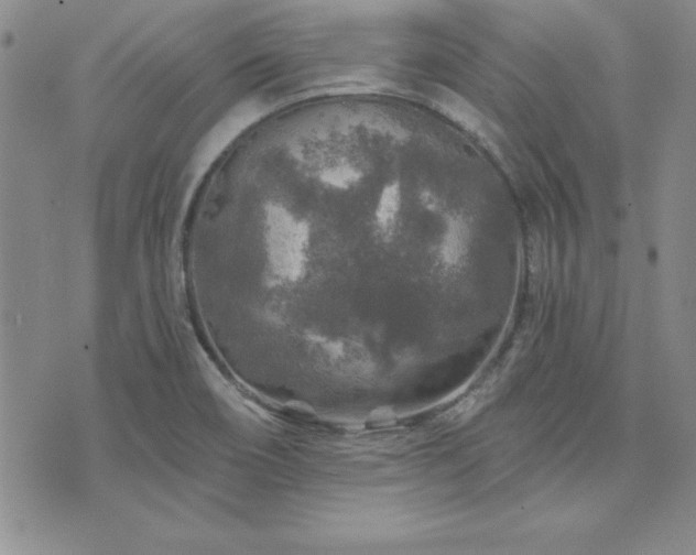 X0000073751466200608031417