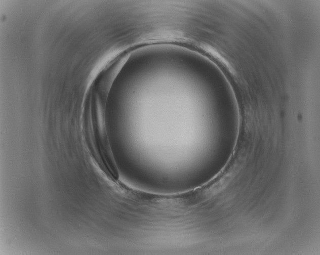 X0000073751469200608031417