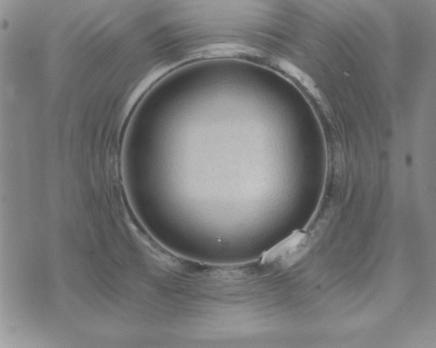 X0000073751473200608031417