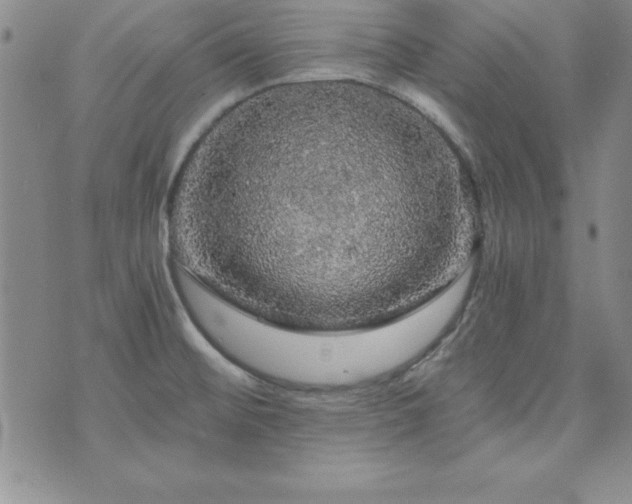 X0000073751476200608031417