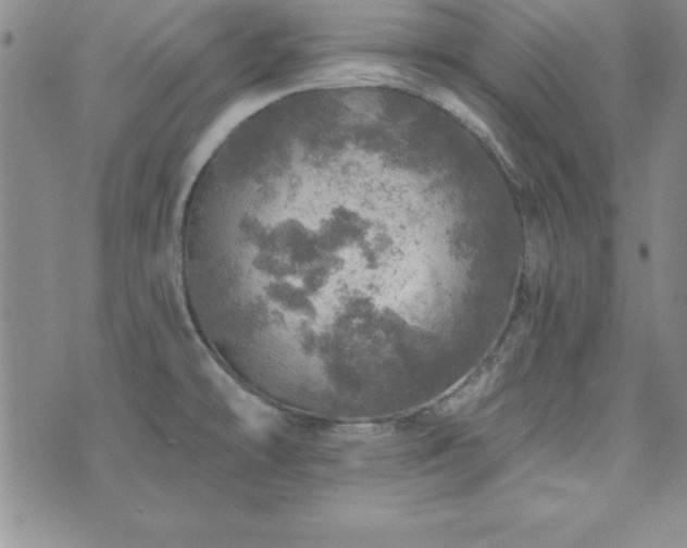 X0000073751478200608031417