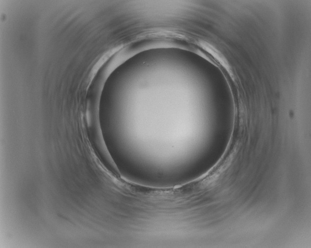 X0000073751481200608031417