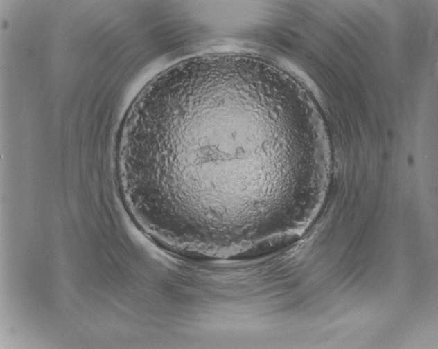 X0000073751483200608031417