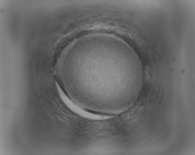 X0000073751493200608031416