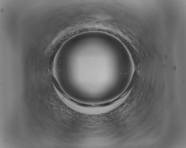 X0000073751495200608031416