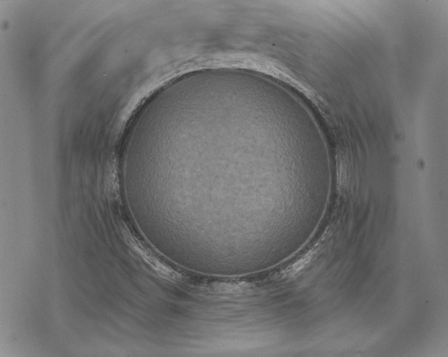 X0000073751498200608031416