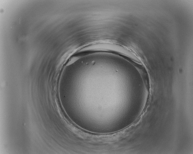 X0000073750001200608102032