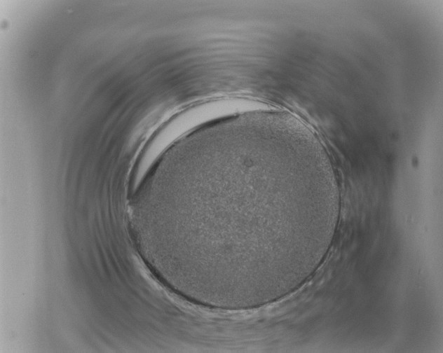 X0000073750002200608102032