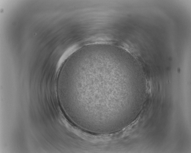 X0000073750004200608102032