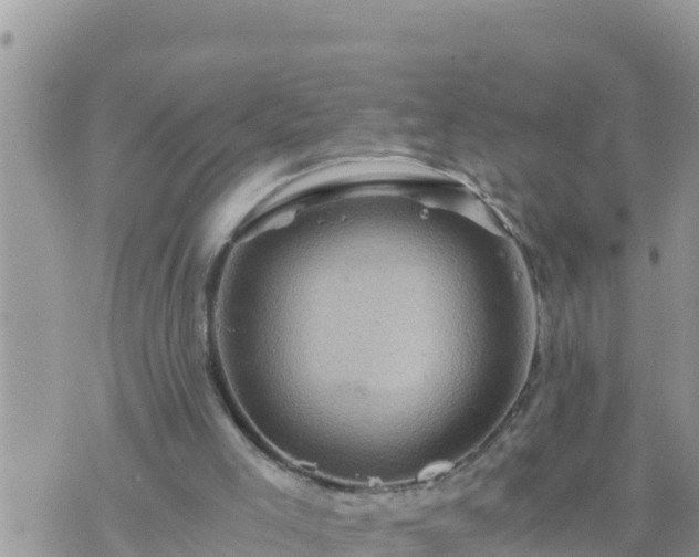 X0000073750005200608102032