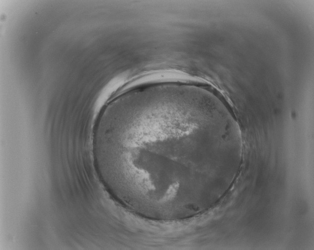 X0000073750006200608102032