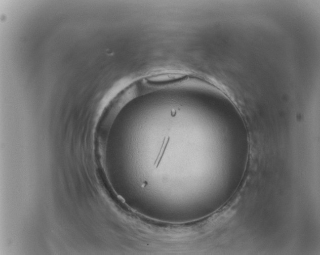 X0000073750008200608102032