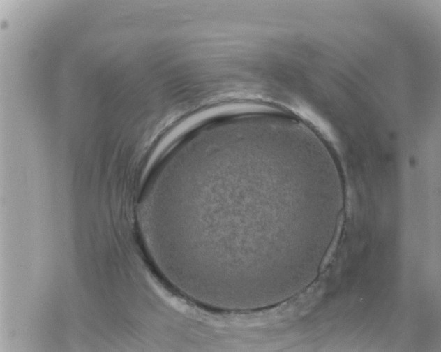 X0000073750009200608102032