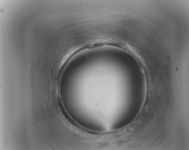 X0000073750011200608102032