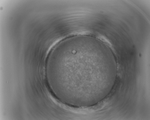 X0000073750012200608102032