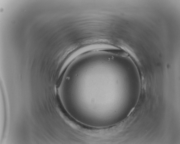 X0000073750013200608102032