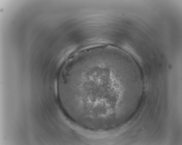 X0000073750014200608102032