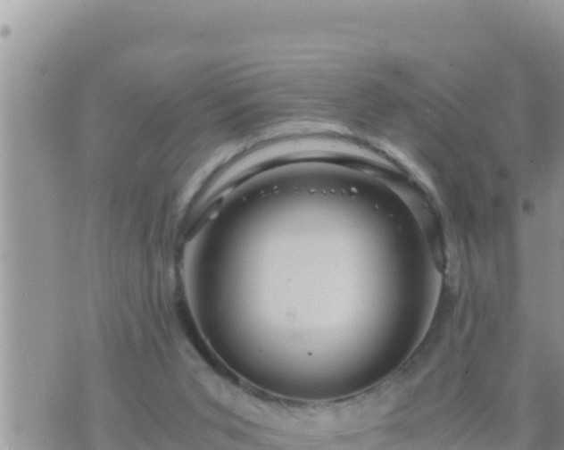 X0000073750015200608102032