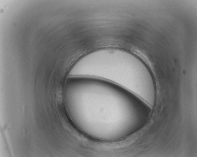 X0000073750017200608102032