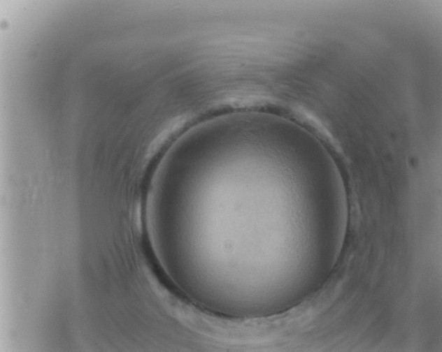 X0000073750019200608102032