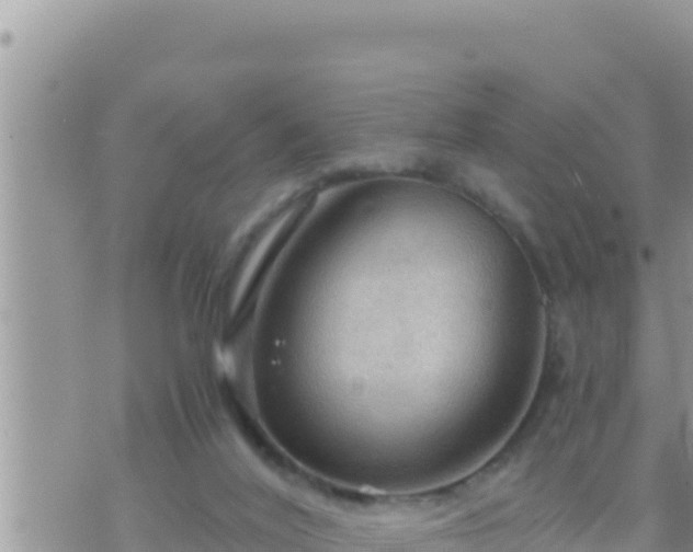 X0000073750020200608102032