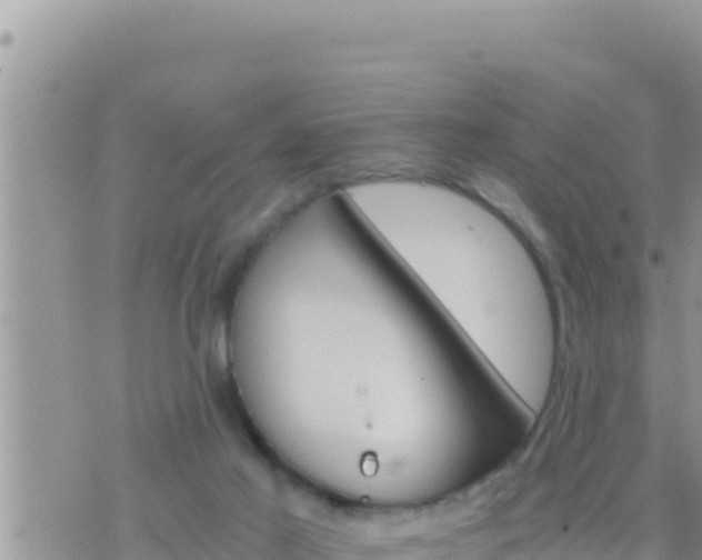 X0000073750021200608102032