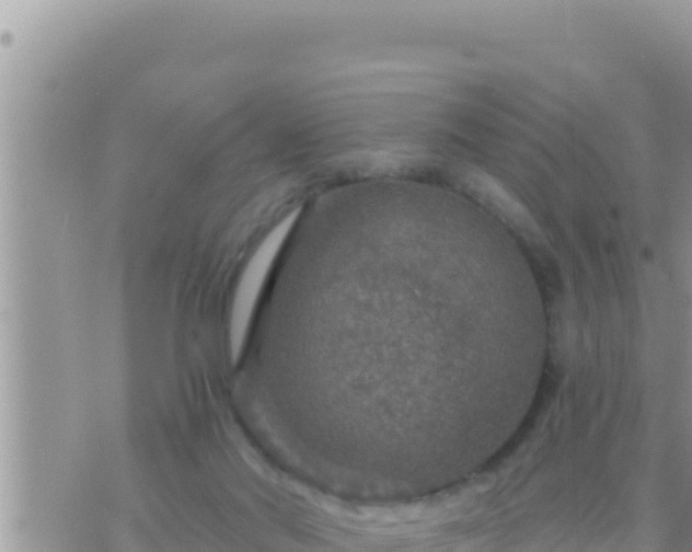 X0000073750022200608102032